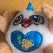 レイパンダシーザーサラダの画像