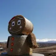 きんぴらの画像