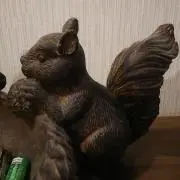 42の画像