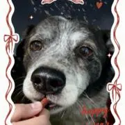 fumikieyの画像