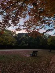 tomokoの画像