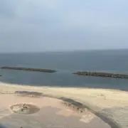 田中の画像