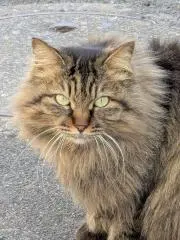 Ｋeeの画像