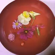 kanaの画像