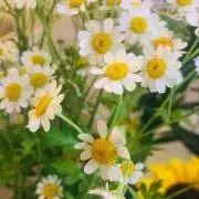 ☆もん☆の画像