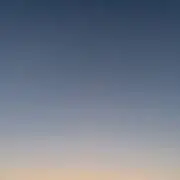 たまねぎの画像