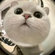 タタ