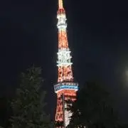 マンダリン24時間以内に発送の画像