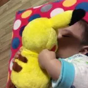怜たん