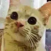 にに❤️プロフ見て下さいの画像