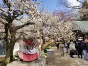 ゆー(販売再開しました)の画像