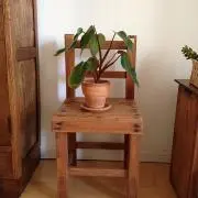SHIRATORIの画像