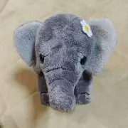 かずみんの画像