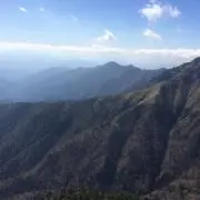 みやの画像