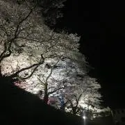 みみみ