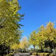 tetsuの画像