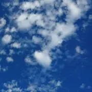 バルトの画像
