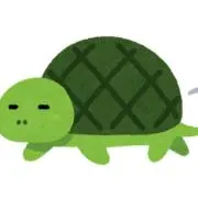 かめ
