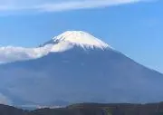 maruの画像