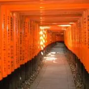 瀬戸の画像