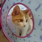 sunnyの画像