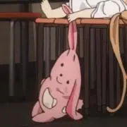 みーこの画像