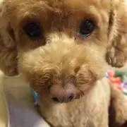 うーご