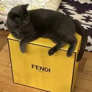 いちゅおの画像