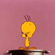 Berryの画像