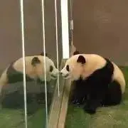 ちぃ⭐️即購入OKの画像