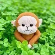 Monkichiの画像