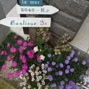 raaaasaの画像