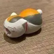dddddの画像