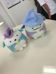 咲の画像