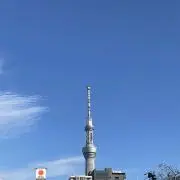 とろろの画像