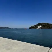 ひ　即日発送も可能❤️❤️の画像