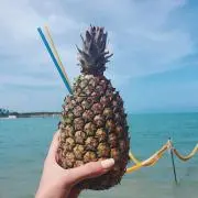 sapの画像
