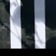 ハラの画像