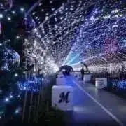 ほさきこの画像