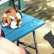 Aliasの画像