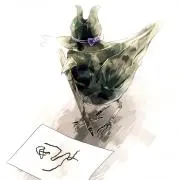 シーの画像