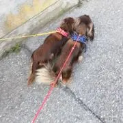 さむ☆の画像