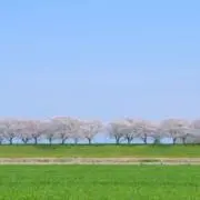 You Tokyoの画像