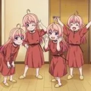 ニコの画像