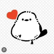 みるちゃんの画像