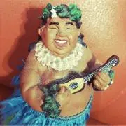 どやさXLの画像