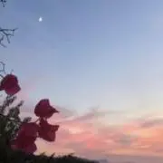 。の画像