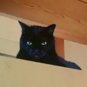 いざくの画像