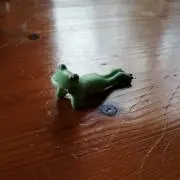 あまがえる