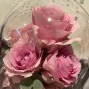 みぃ♡の画像